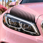 3D Black Car Headlight Eyelashes Stickers Universal Auto Decorative Trim (2PCS)